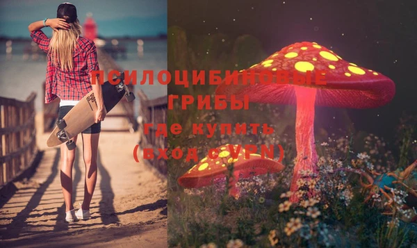 гашиш Белокуриха