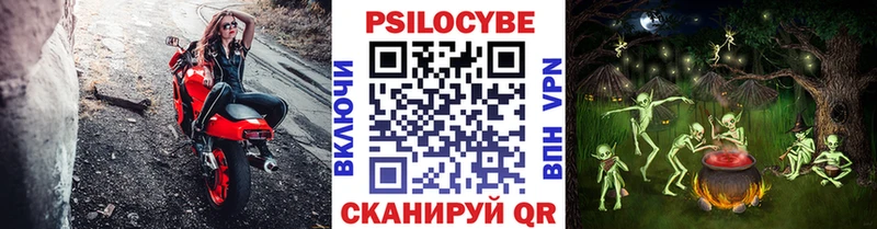 блэк спрут ссылка Поворино Галлюциногенные грибы Cubensis